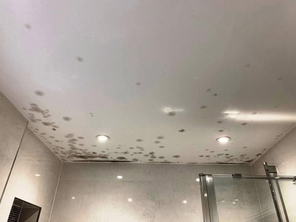 Mould on bathroom ceiling